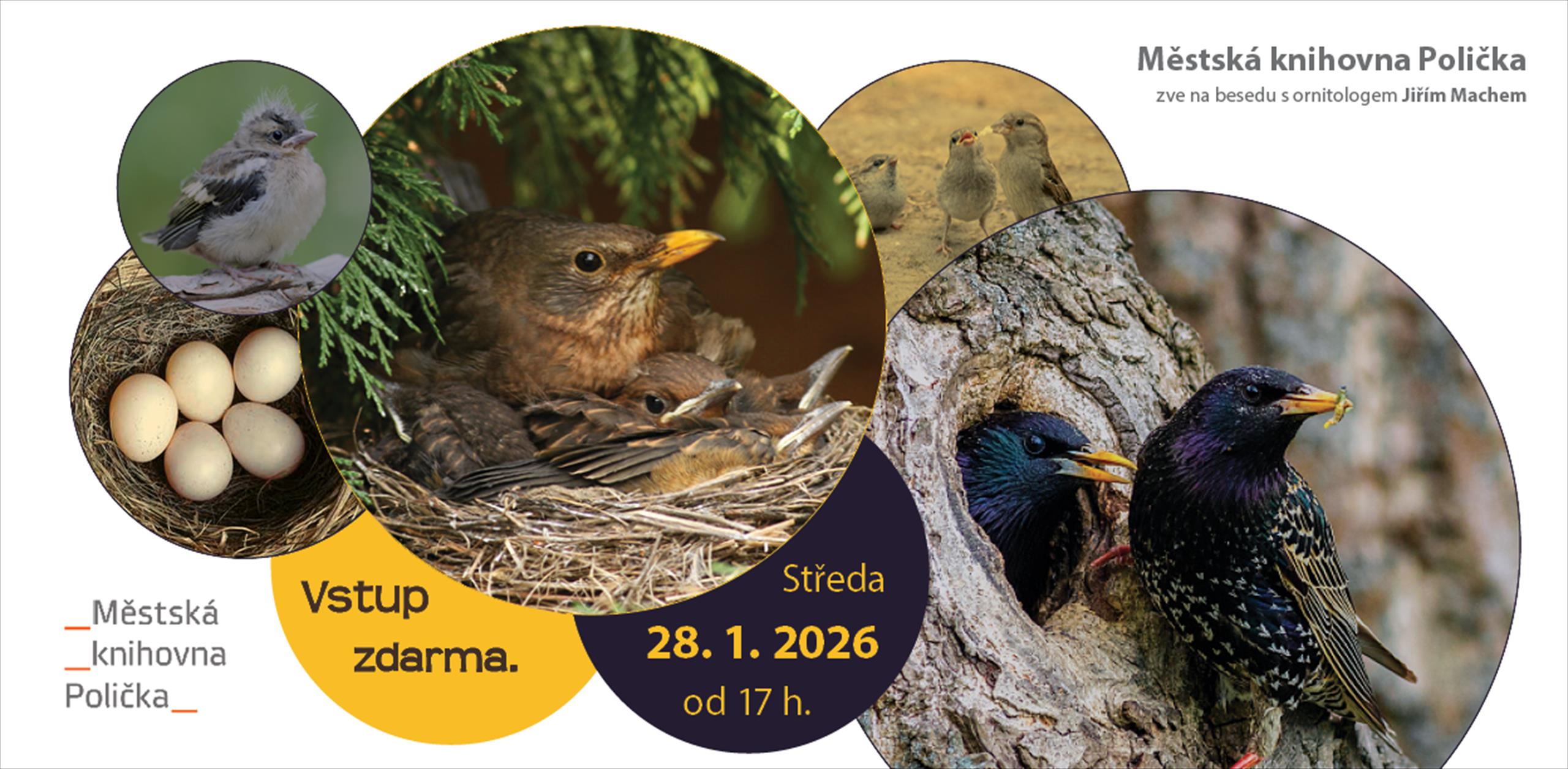 Ptáci na Poličsku – pozvánka na besedu