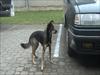 N�hled obr�zku ke �l�nku �.659