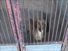 N�hled obr�zku ke �l�nku �.679