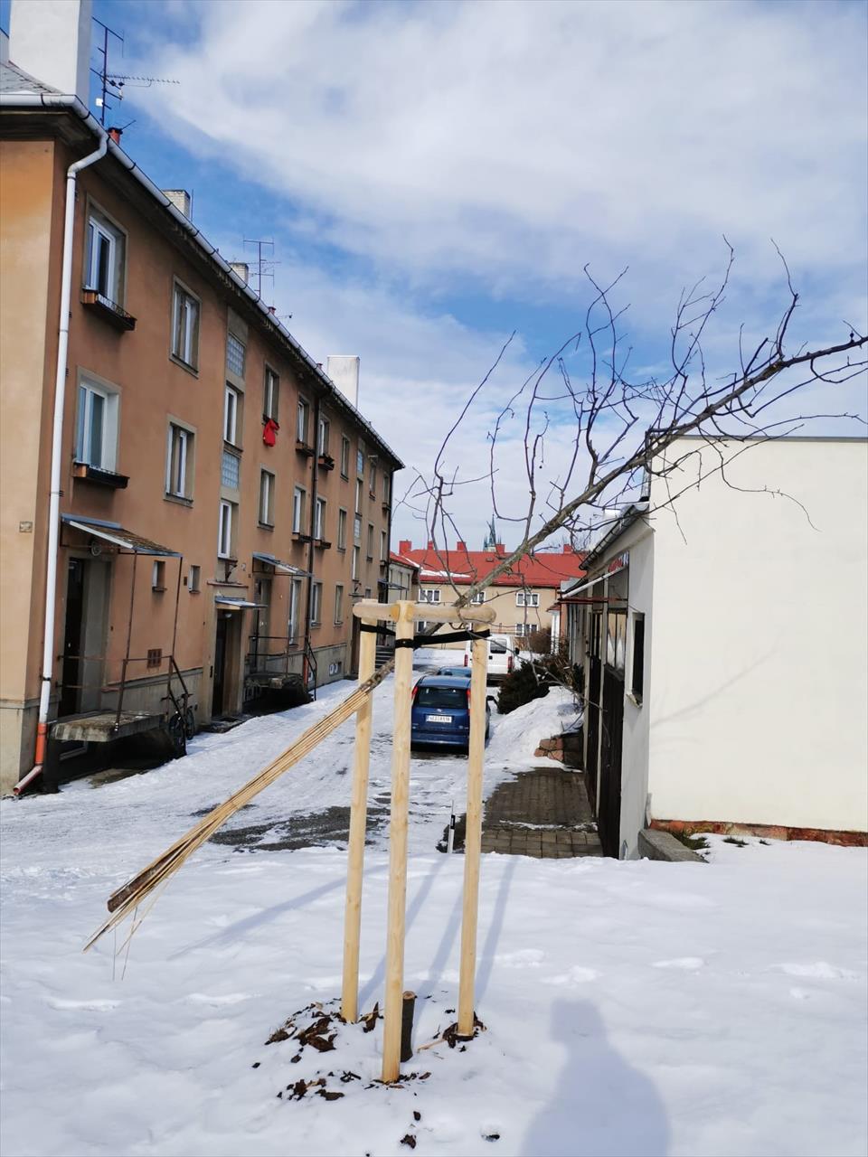 Úvodní fotografie ke článku