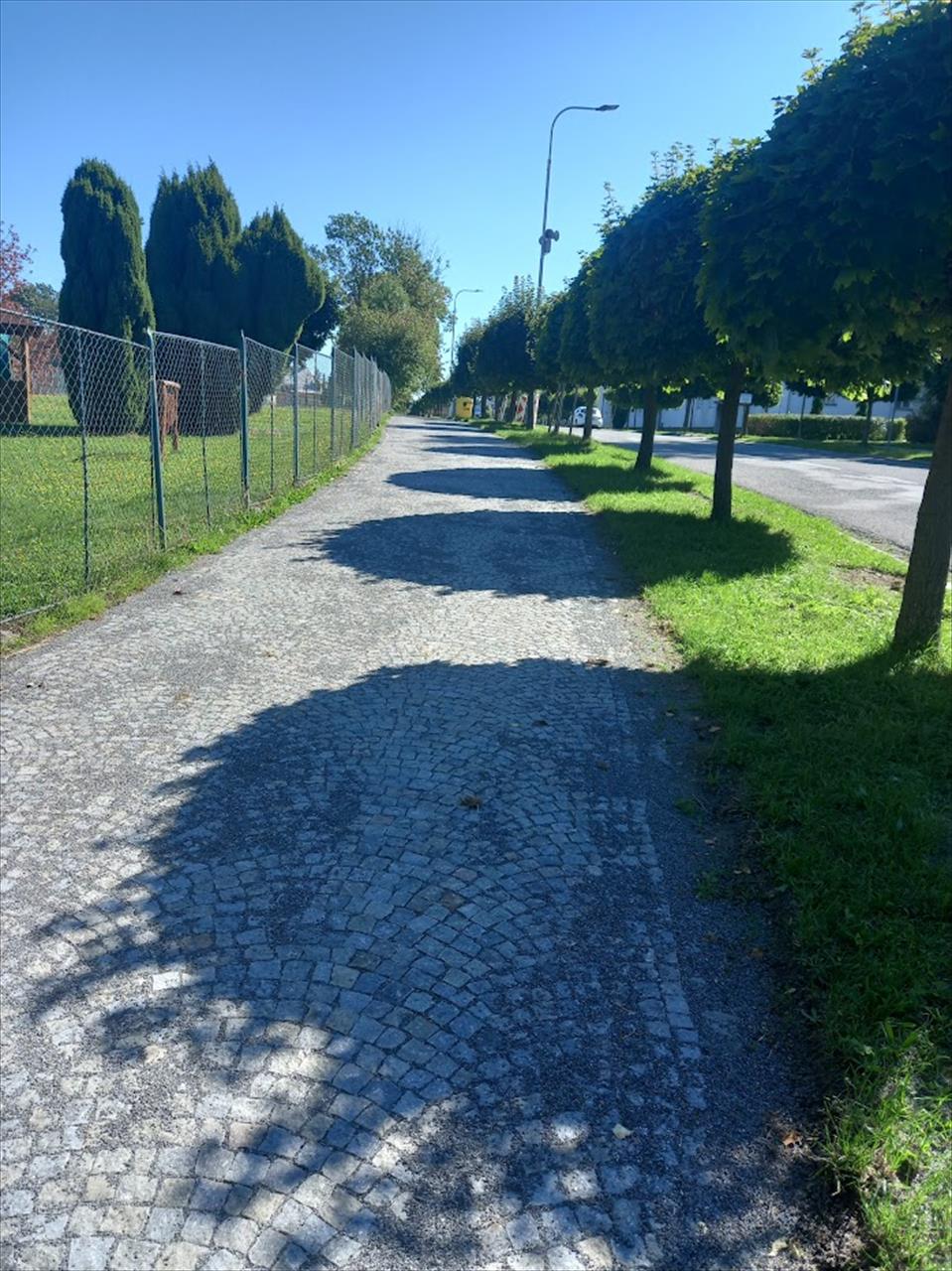 obrázek ke článku