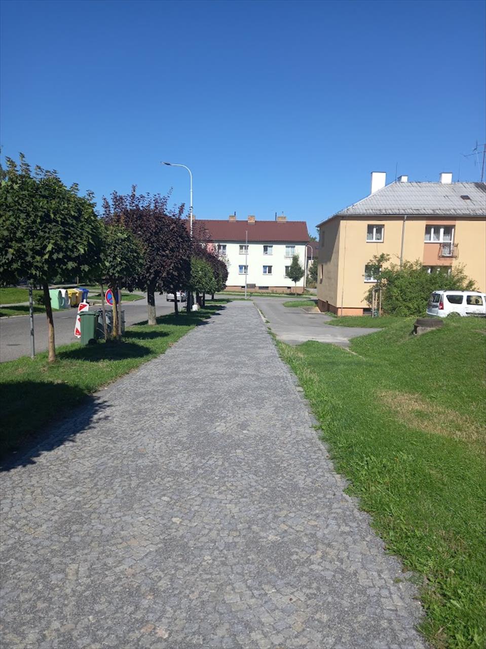 obrázek ke článku