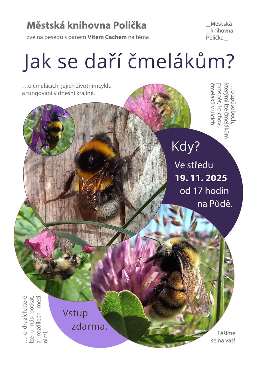 Úvodní fotografie ke článku