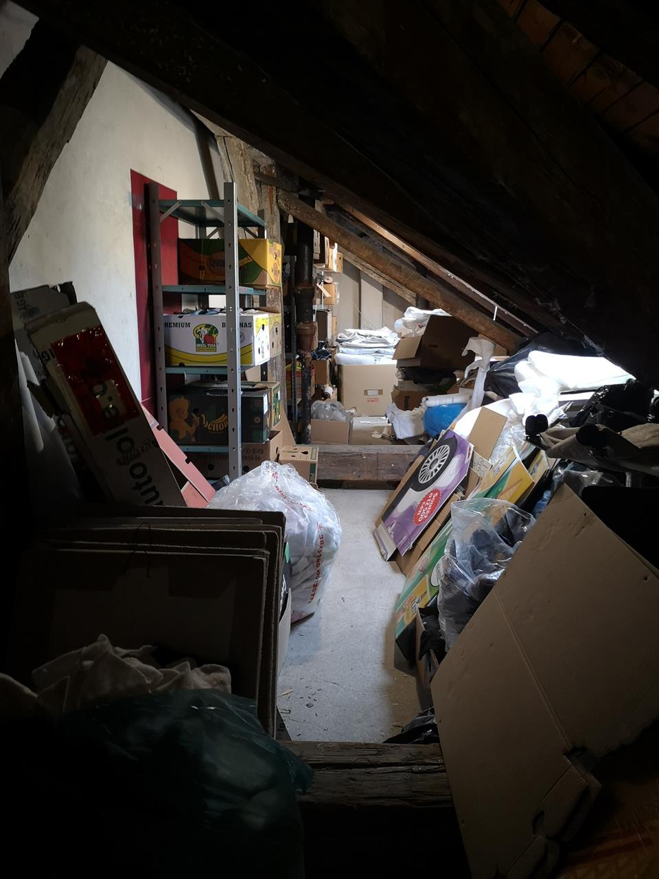 obrázek ke článku