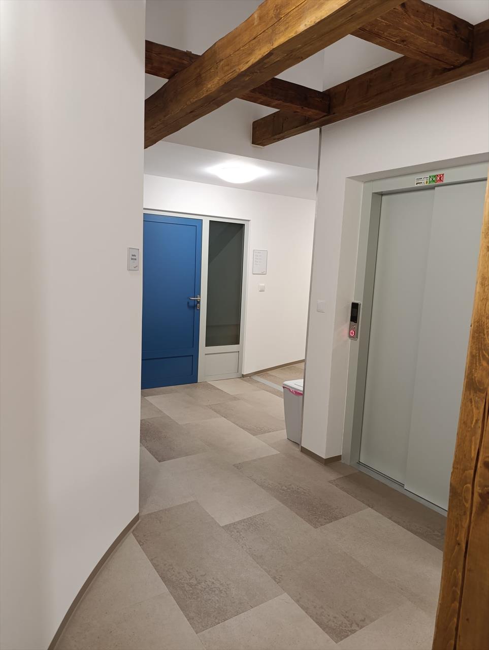 obrázek ke článku