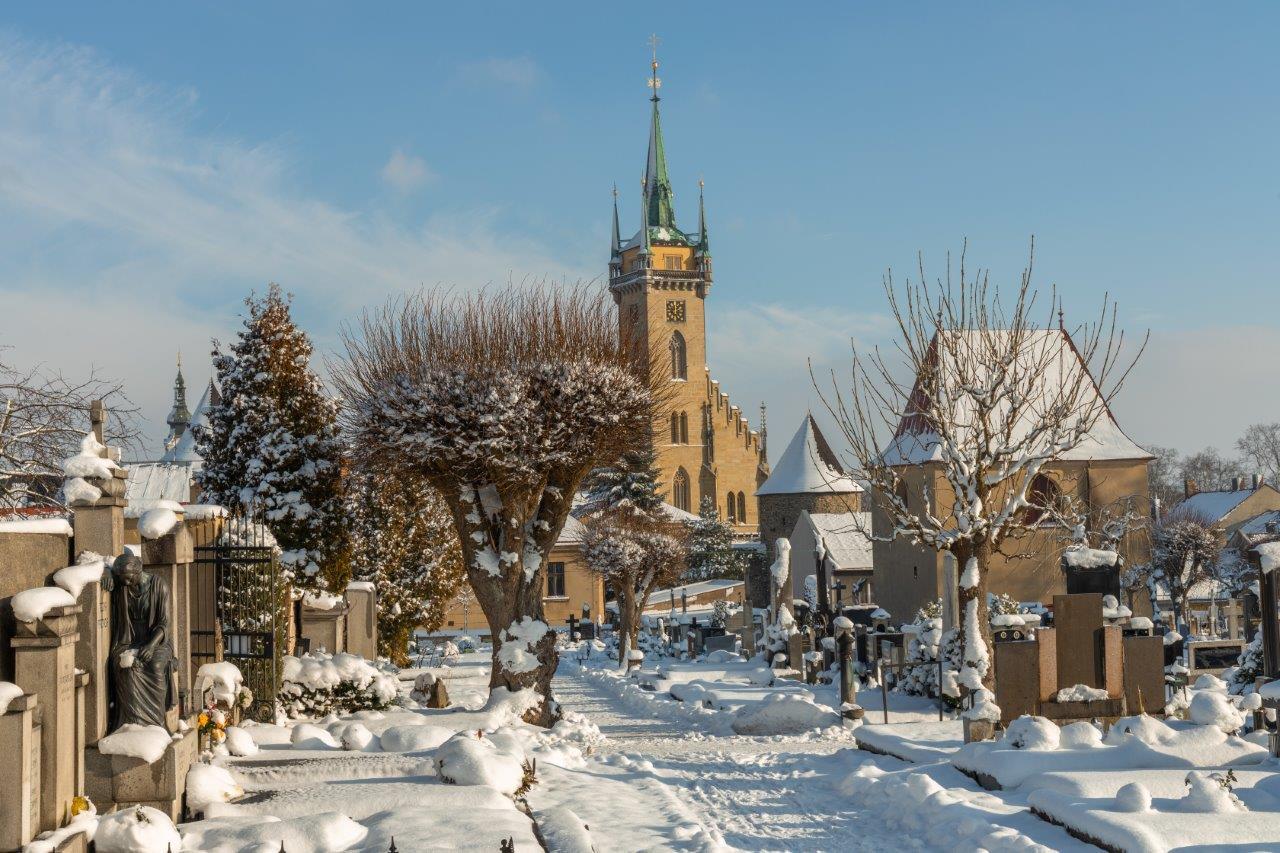 obrázek ke článku