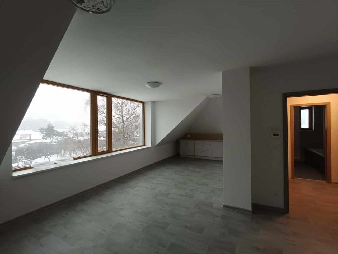 obrázek ke článku