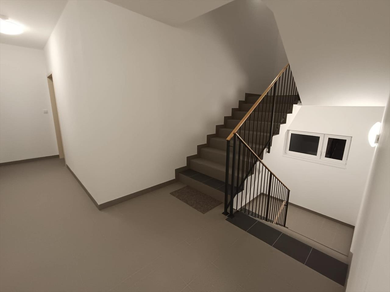 obrázek ke článku