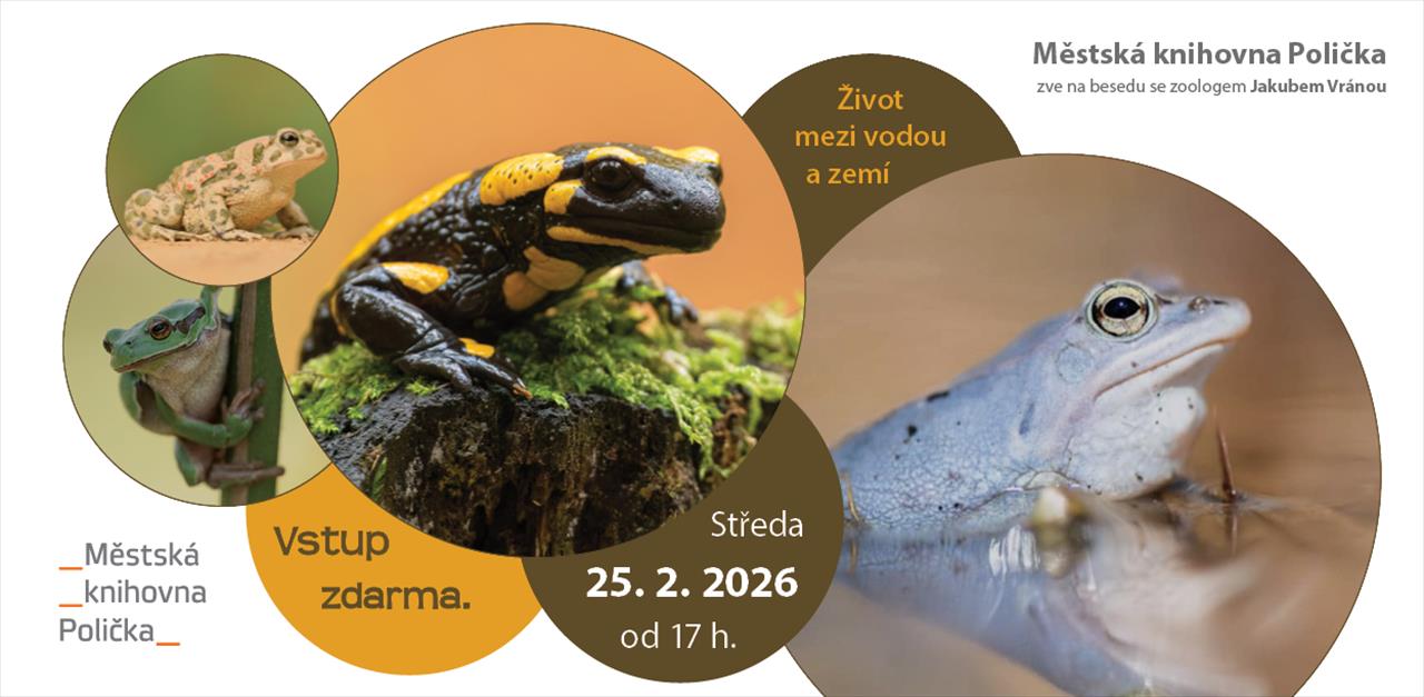 obrázek ke článku