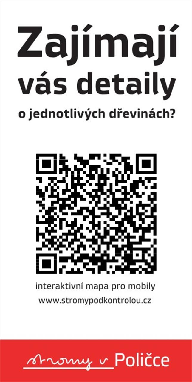 obrázek ke článku