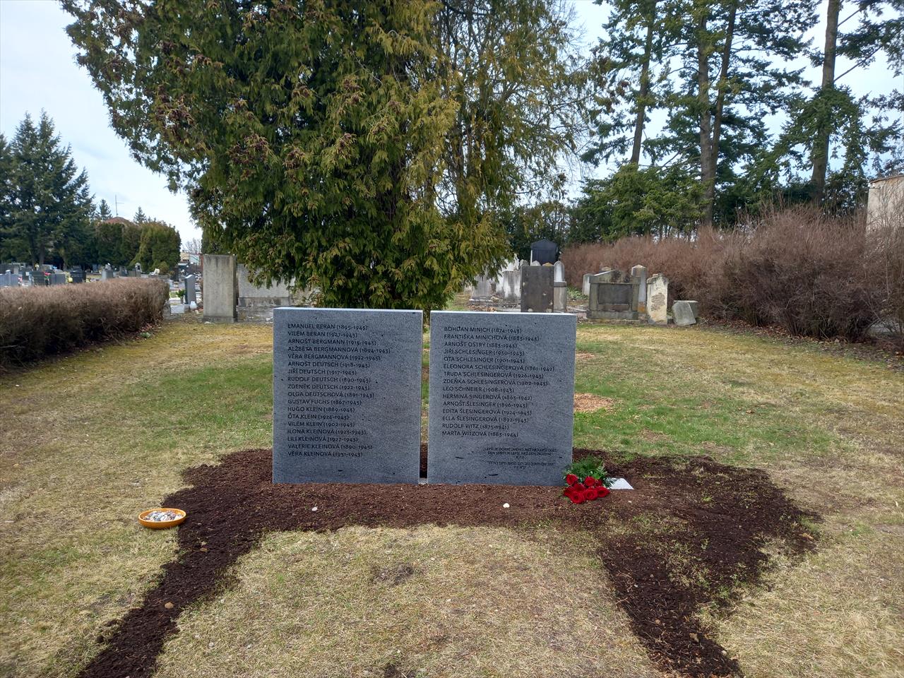 obrázek ke článku