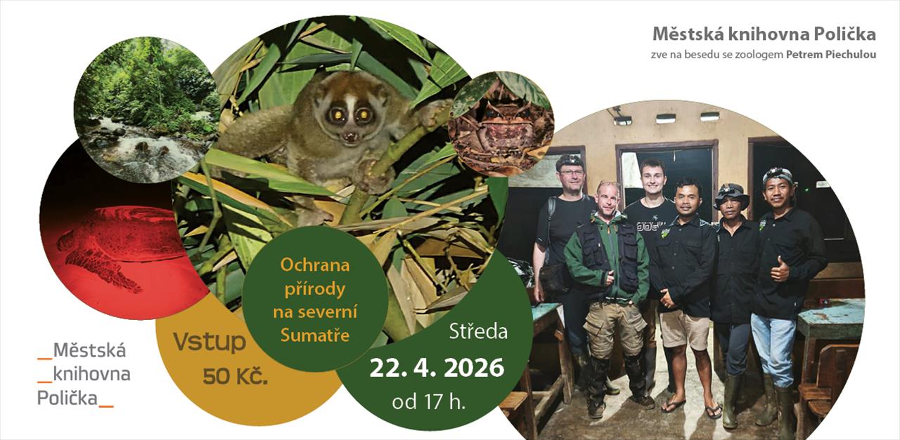 obrázek ke článku