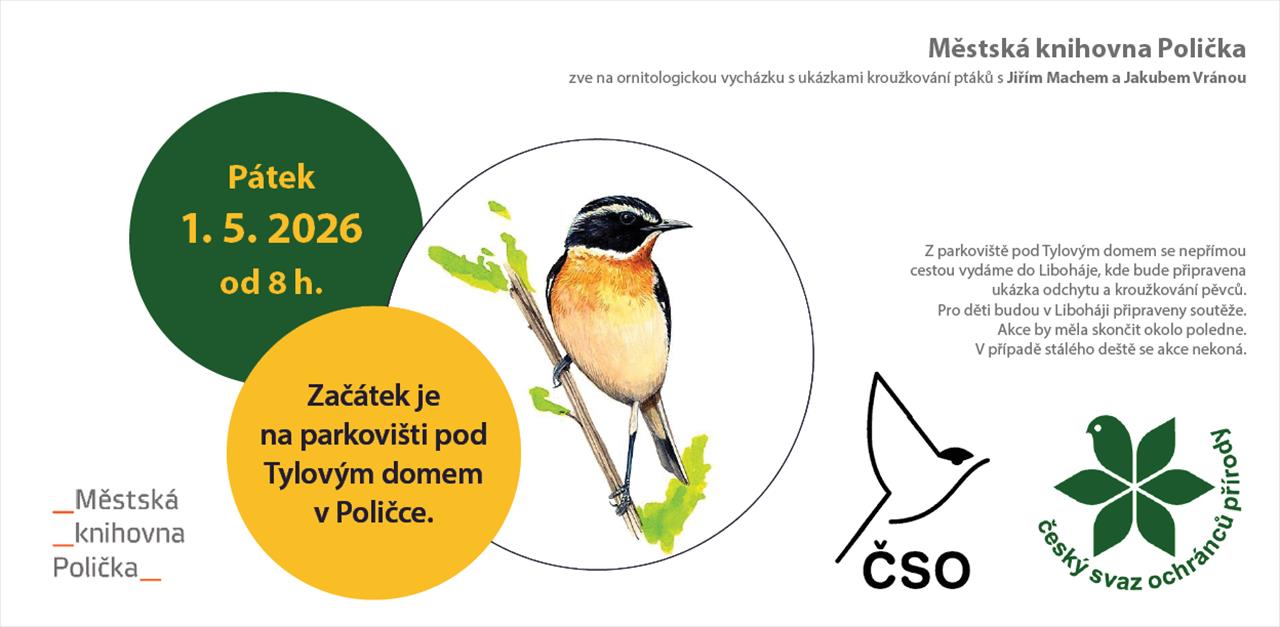 Úvodní fotografie ke článku