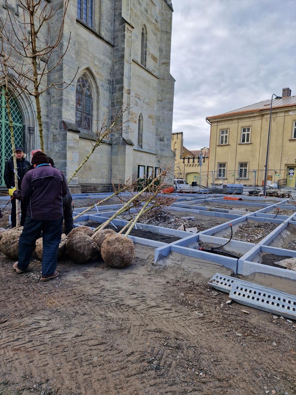 obrázek ke článku