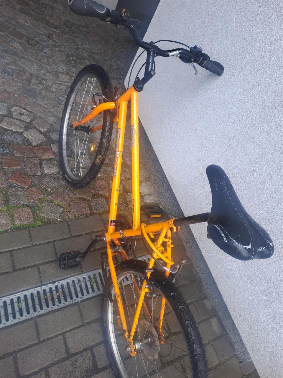 Úvodní fotografie ke článku