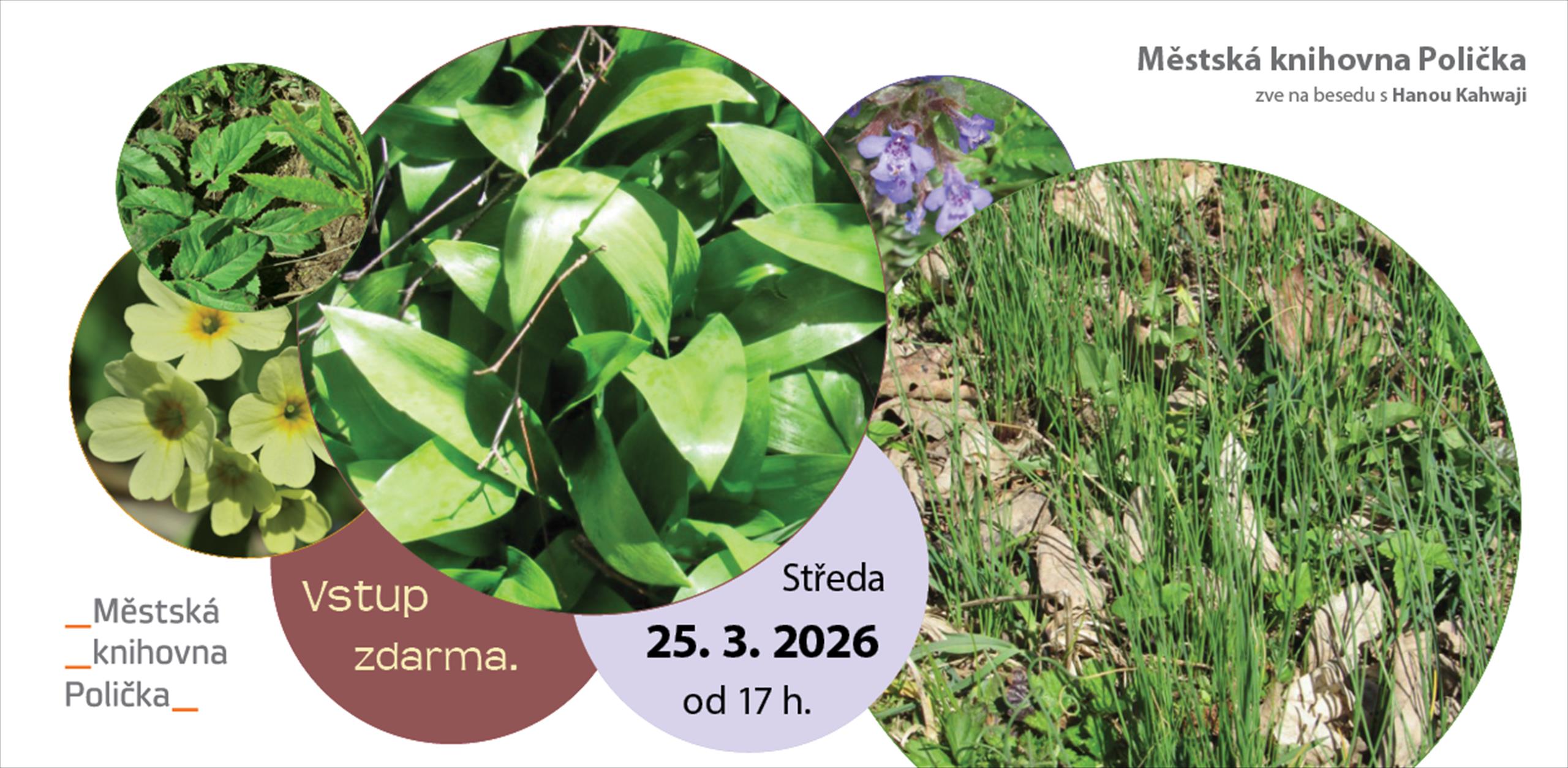 Jarní bylinky jako jídlo i lék – pozvánka na besedu