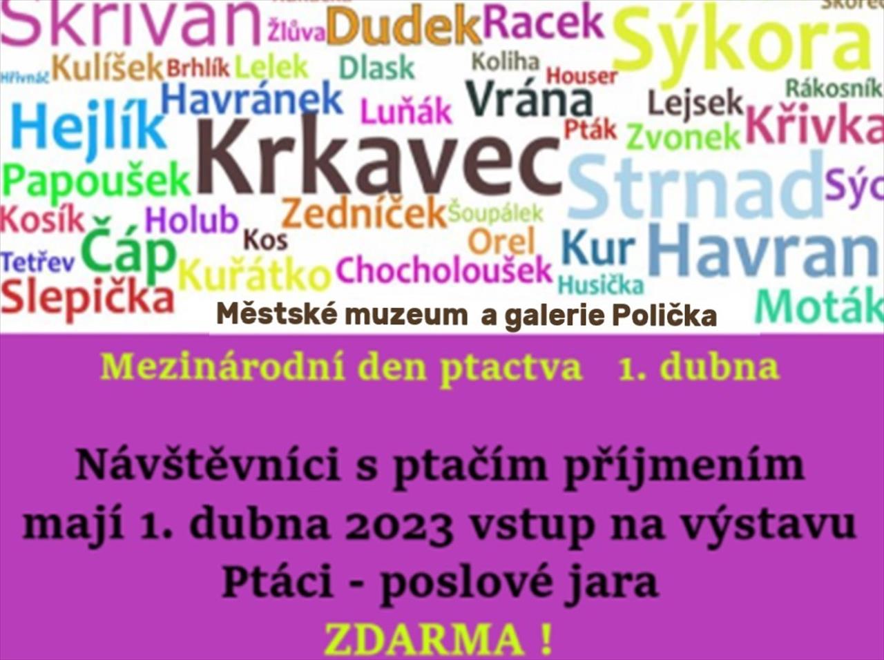 Úvodní fotografie ke článku