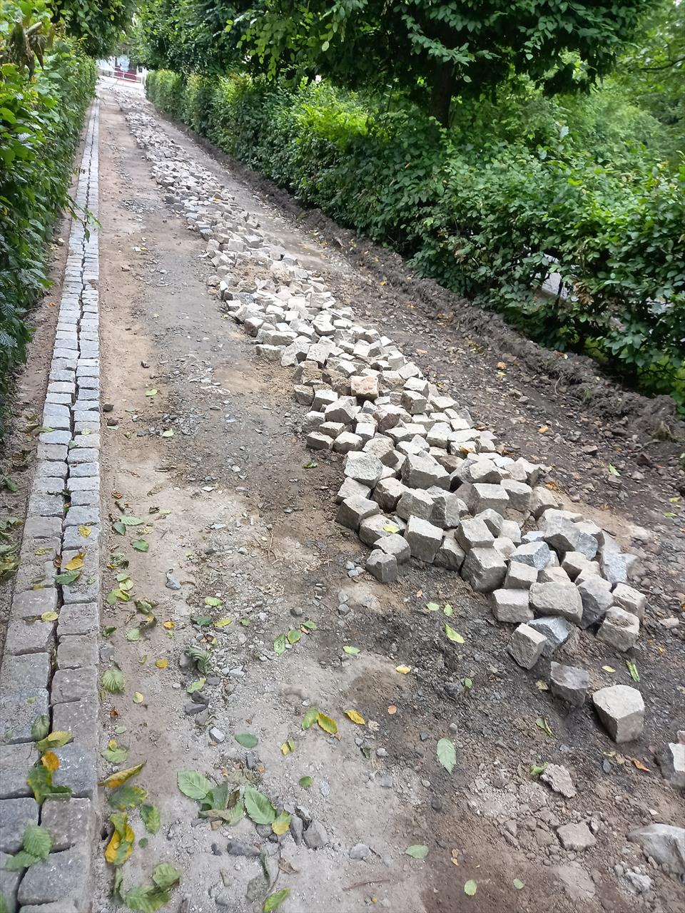 obrázek ke článku