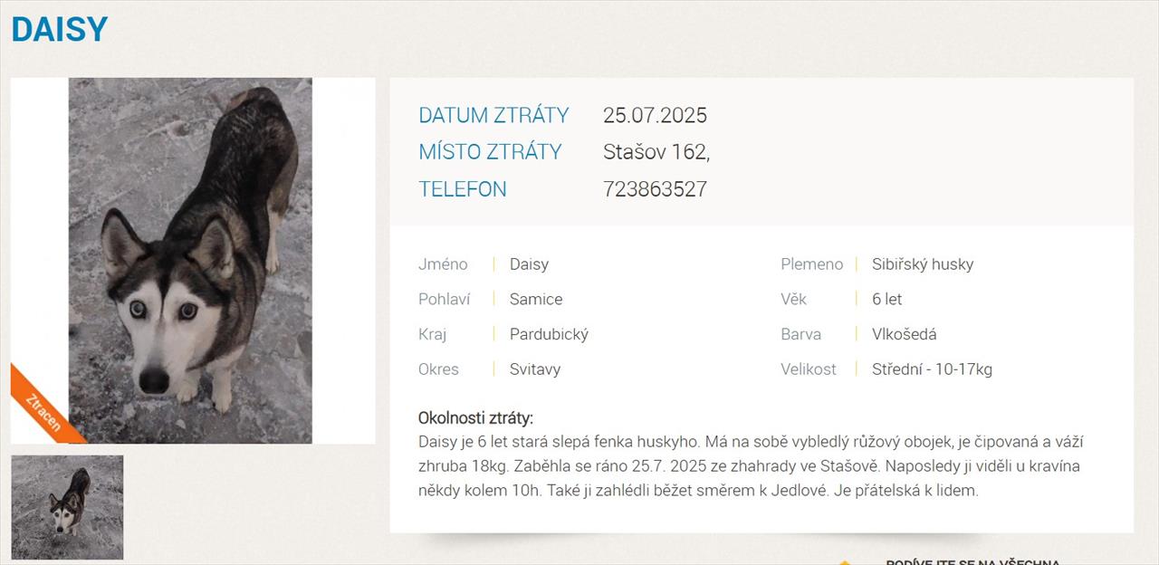 obrázek ke článku