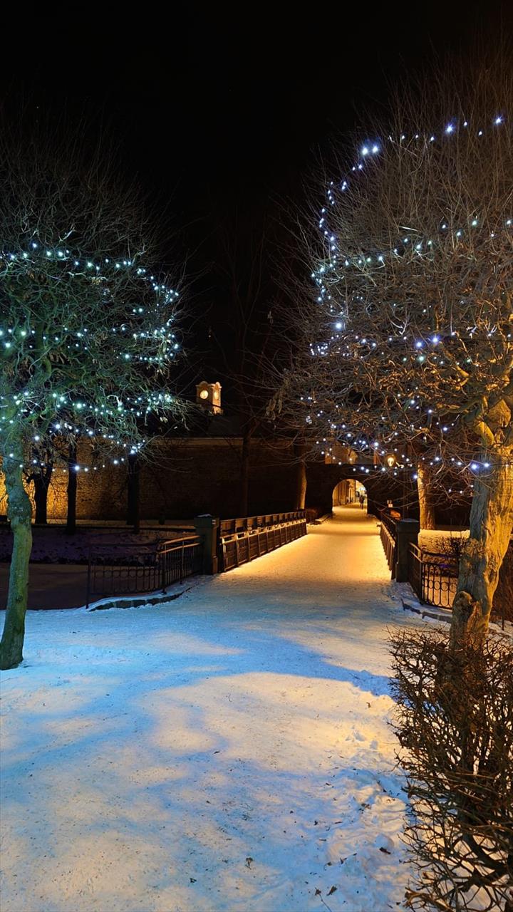 obrázek ke článku