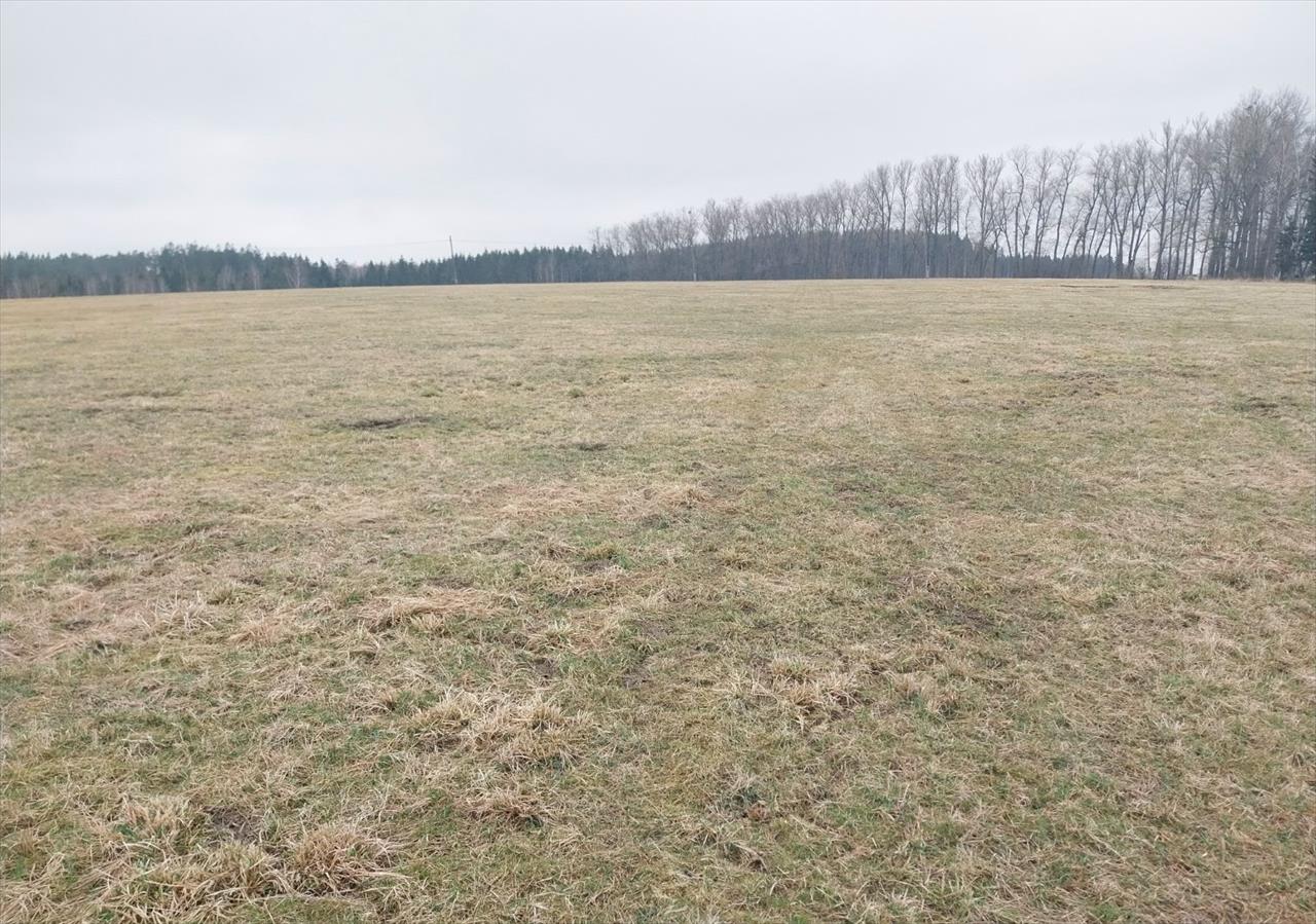 obrázek ke článku