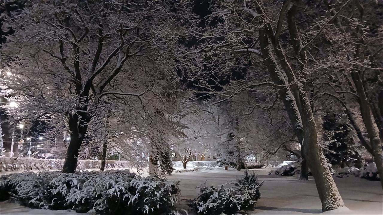 obrázek ke článku