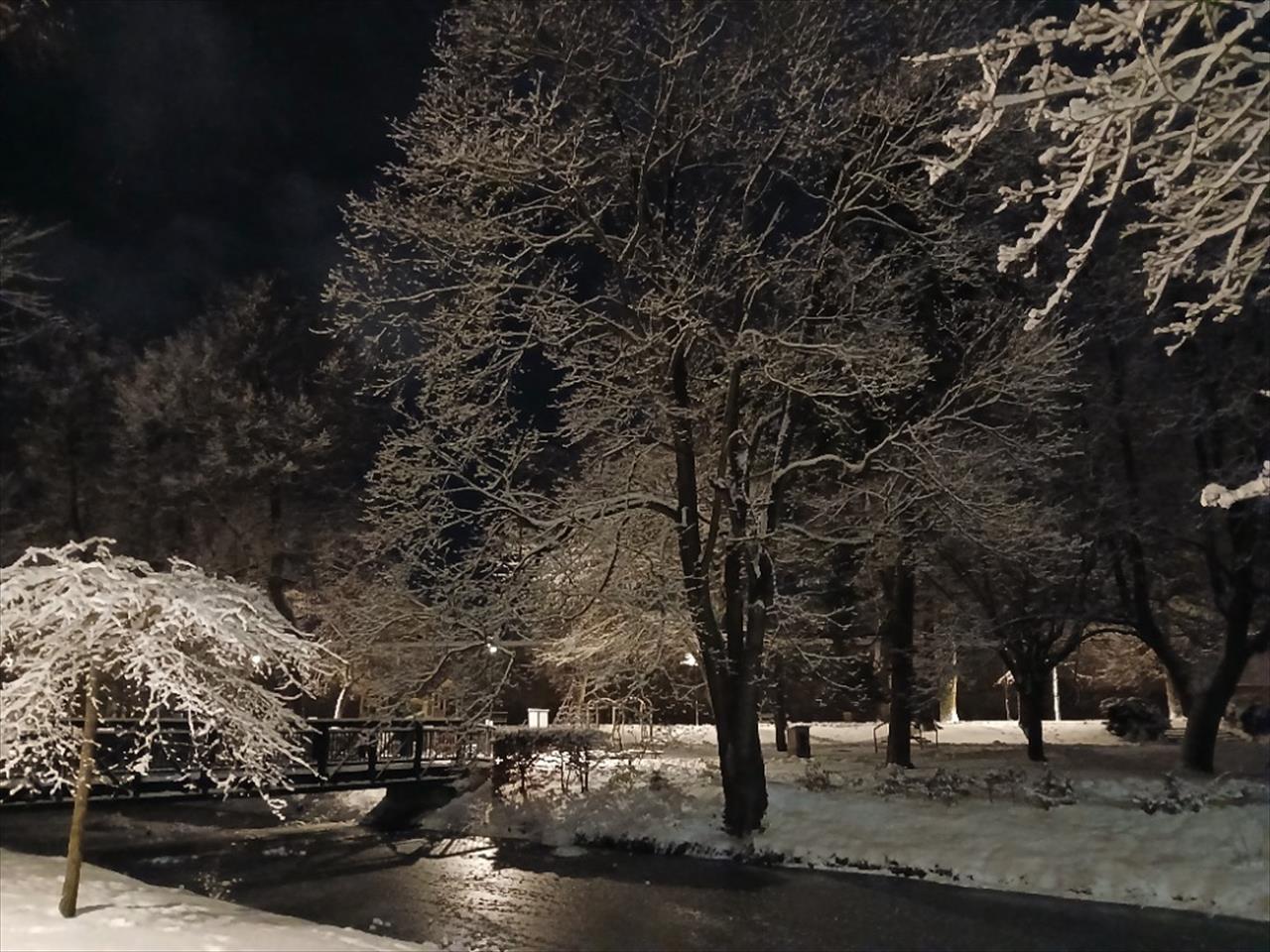 obrázek ke článku