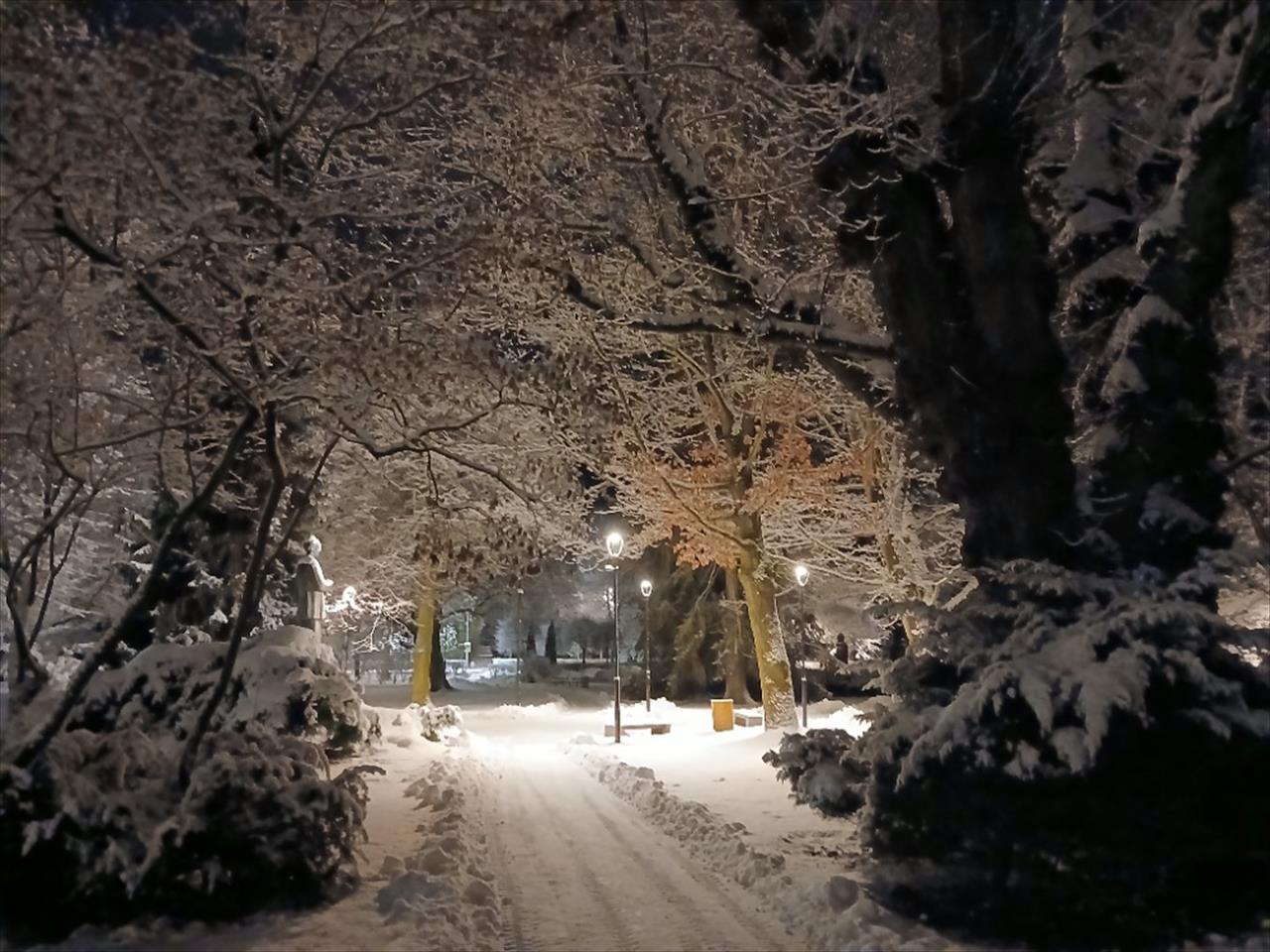 obrázek ke článku