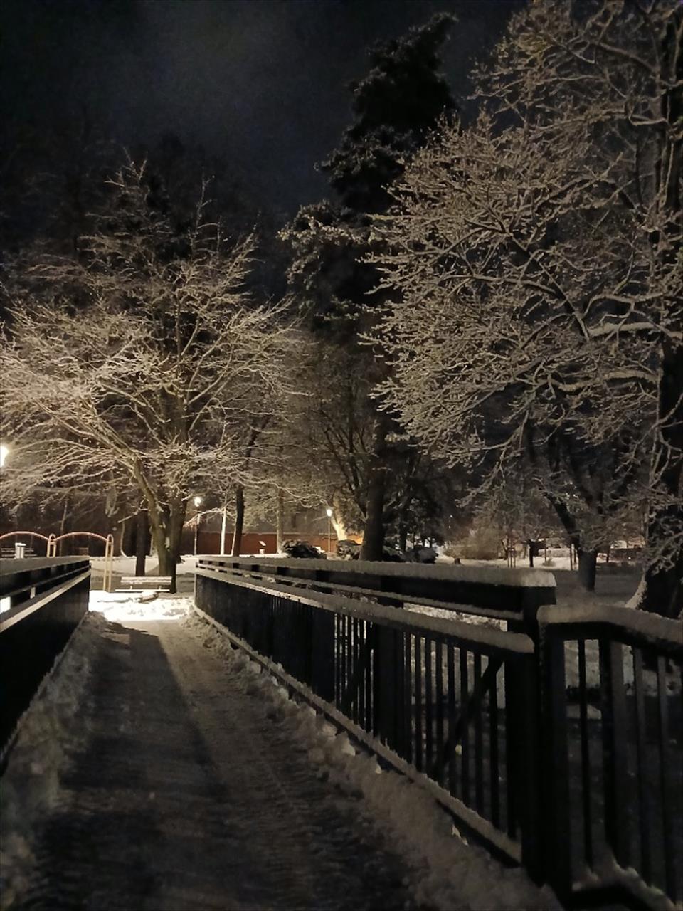 obrázek ke článku