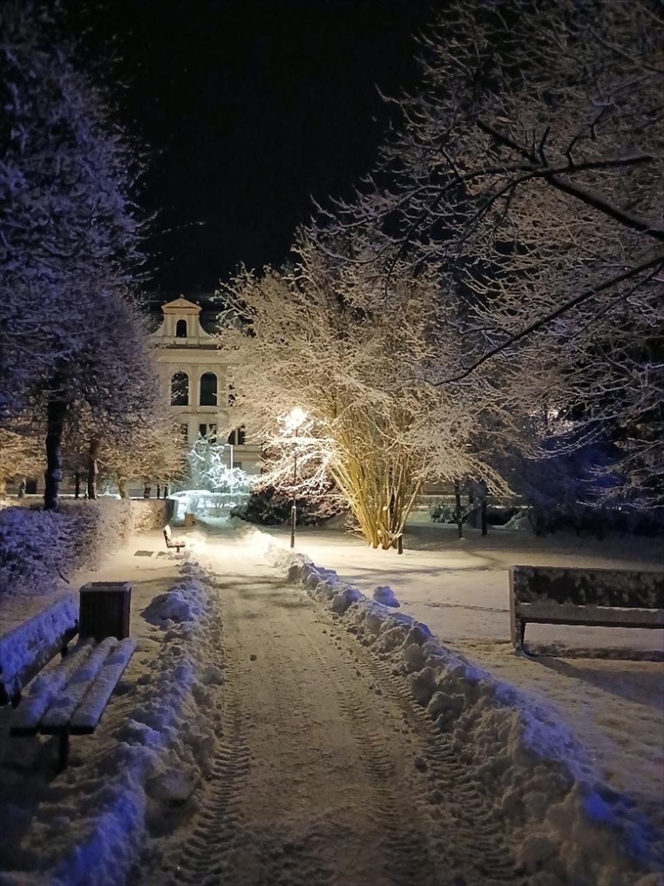 obrázek ke článku