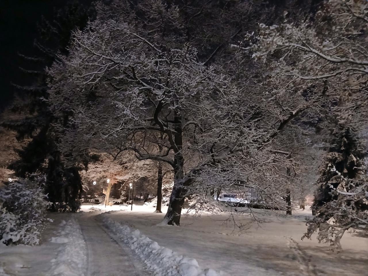 obrázek ke článku