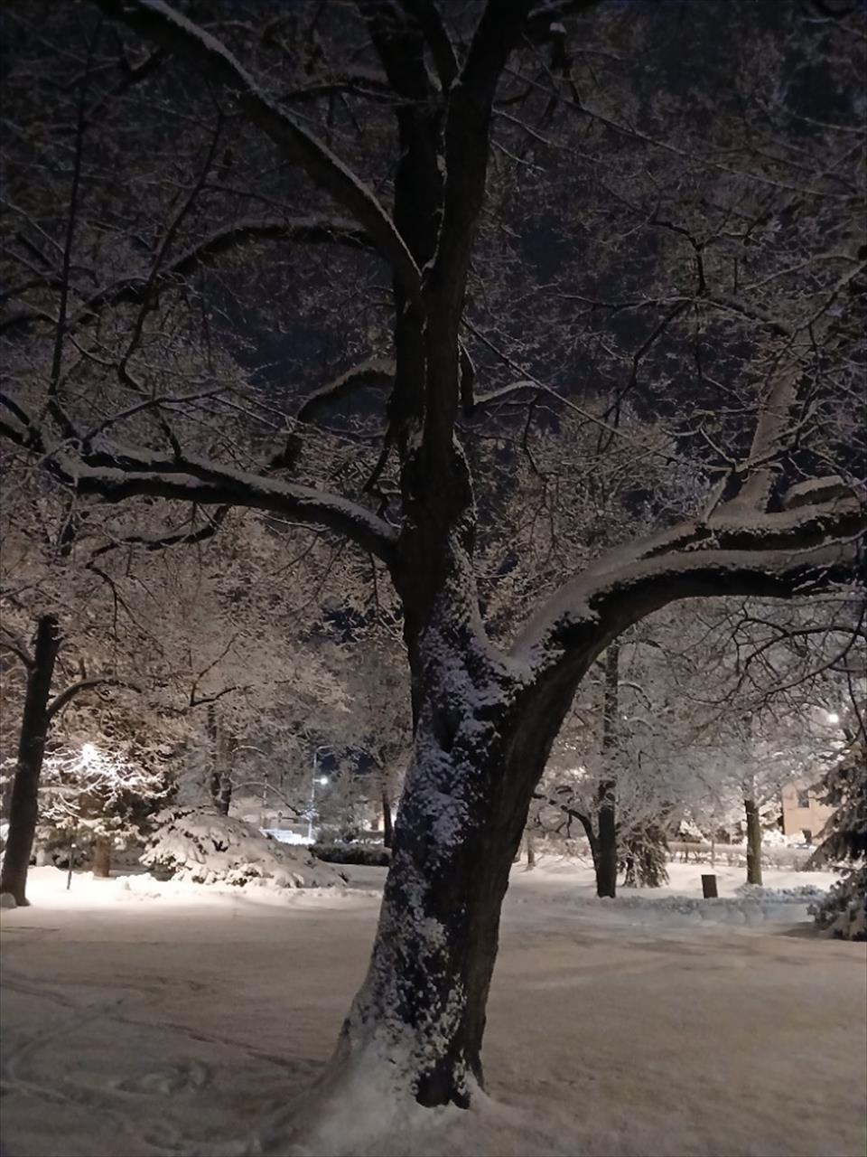 obrázek ke článku