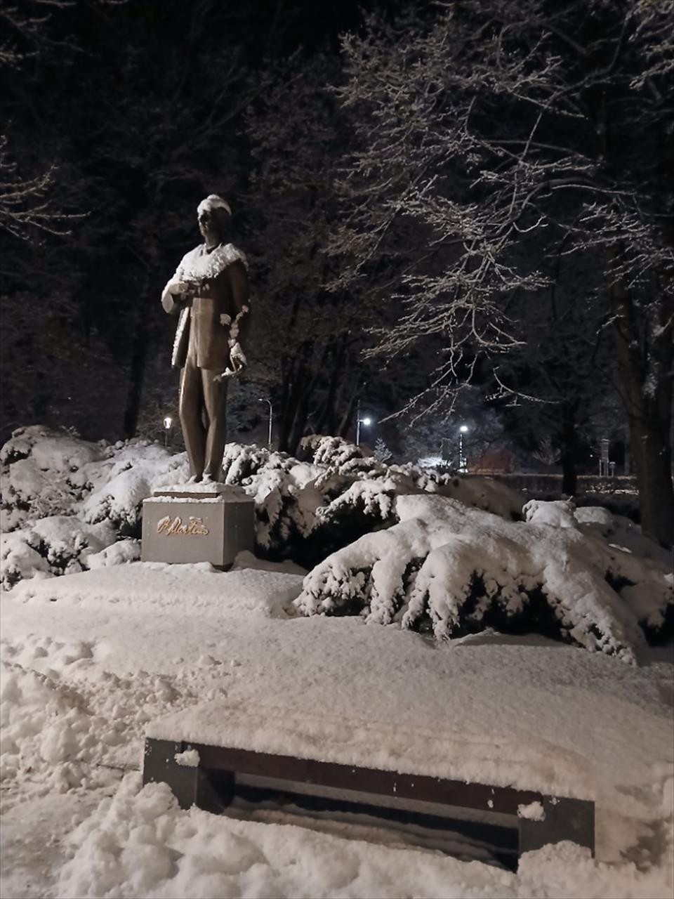 obrázek ke článku