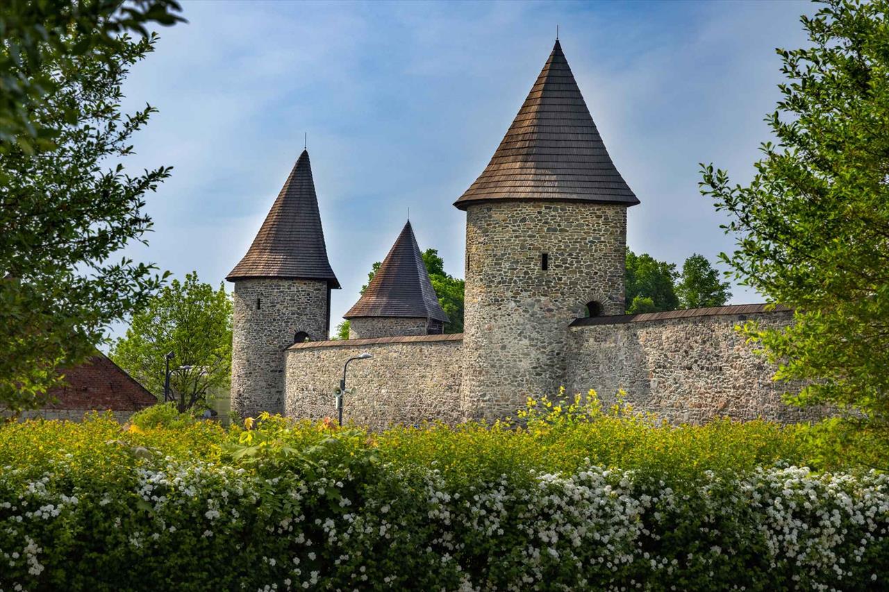 obrázek ke článku